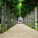 Le Jardin – Un Oasis de Beauté et de Sérénité
