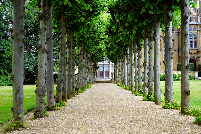 Le Jardin – Un Oasis de Beauté et de Sérénité